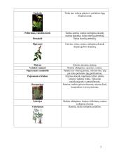 Lietuvių liaudies medicina 5 puslapis