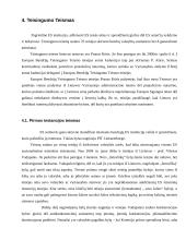 Lietuvos atstovų veikla Europos Sąjungos (ES) institucijose 11 puslapis