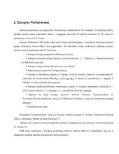 Lietuvos atstovų veikla Europos Sąjungos (ES) institucijose 5 puslapis