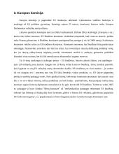 Lietuvos atstovų veikla Europos Sąjungos (ES) institucijose 10 puslapis