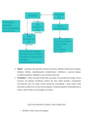 Lietuvos bankų ir viešojo sektoriaus ryšys 5 puslapis