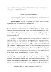 Lietuvos bankų ir viešojo sektoriaus ryšys 7 puslapis