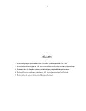 Lietuvos bankų raida 13 puslapis