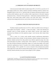 Lietuvos bankų raida 6 puslapis