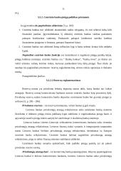 Lietuvos centrinis bankas ir jo atliekamos funkcijos 11 puslapis