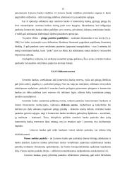 Lietuvos centrinis bankas ir jo atliekamos funkcijos 13 puslapis