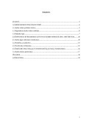 Lietuvos darbo rinkos politika: užimtumas ir nedarbas 2 puslapis