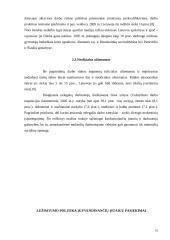 Lietuvos darbo rinkos politika: užimtumas ir nedarbas 16 puslapis