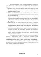 Lietuvos darbo rinkos politika: užimtumas ir nedarbas 19 puslapis
