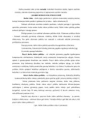 Lietuvos darbo rinkos politika: užimtumas ir nedarbas 4 puslapis