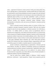 Lietuvos delegacijos į Argentinos šalį vizitų vadyba 10 puslapis