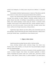 Lietuvos delegacijos į Argentinos šalį vizitų vadyba 11 puslapis