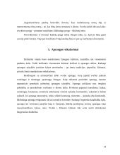 Lietuvos delegacijos į Argentinos šalį vizitų vadyba 13 puslapis