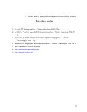 Lietuvos delegacijos į Argentinos šalį vizitų vadyba 15 puslapis