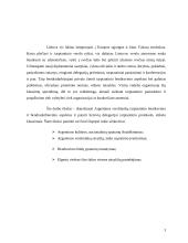 Lietuvos delegacijos į Argentinos šalį vizitų vadyba 2 puslapis