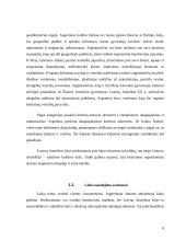 Lietuvos delegacijos į Argentinos šalį vizitų vadyba 7 puslapis