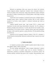 Lietuvos delegacijos į Argentinos šalį vizitų vadyba 9 puslapis