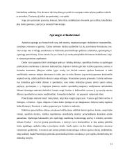 Lietuvos delegacijos į Prancūziją vizitų vadyba 14 puslapis