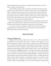Lietuvos delegacijos į Prancūziją vizitų vadyba 9 puslapis