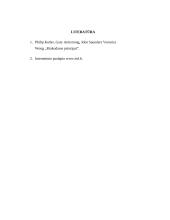 Lietuvos demografinė verslo aplinka 3 puslapis