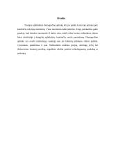 Lietuvos demografinė verslo aplinka 7 puslapis