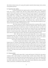 Lietuvos pramonės ir prekybos padėtis 11 puslapis