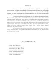 Lietuvos pramonės ir prekybos padėtis 16 puslapis