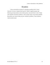 Lietuvos ekonominės ir ūkio problemos 11 puslapis