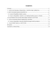 Lietuvos finansų sistema 2 puslapis