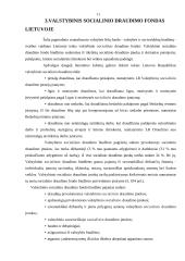 Lietuvos finansų sistema 11 puslapis