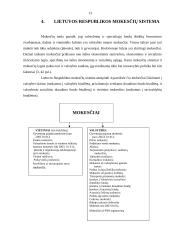 Lietuvos finansų sistema 13 puslapis