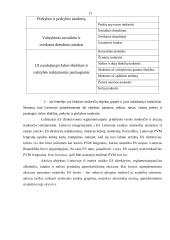 Lietuvos finansų sistema 15 puslapis