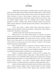 Lietuvos finansų sistema 16 puslapis