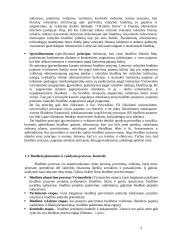 Lietuvos fiskalinė politika ir jos raida 5 puslapis