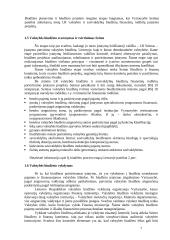 Lietuvos fiskalinė politika ir jos raida 7 puslapis