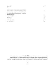 Lietuvos fiskalinės politikos perspektyvos 2 puslapis