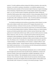 Lietuvos fiskalinės politikos perspektyvos 11 puslapis