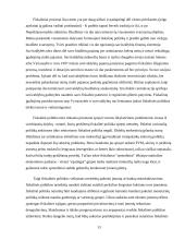 Lietuvos fiskalinės politikos perspektyvos 13 puslapis