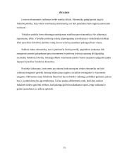 Lietuvos fiskalinės politikos perspektyvos 15 puslapis