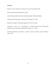 Lietuvos fiskalinės politikos perspektyvos 16 puslapis