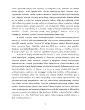 Lietuvos fiskalinės politikos perspektyvos 3 puslapis