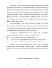 Lietuvos fiskalinės politikos perspektyvos 4 puslapis