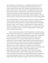 Lietuvos fiskalinės politikos perspektyvos 9 puslapis