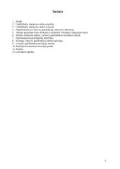 Lietuvos geležinkelių raida 3 puslapis