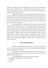 Lietuvos geležinkelių tinklas 3 puslapis