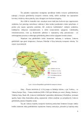 Lietuvos geležinkelių tinklas 6 puslapis