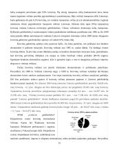 Lietuvos geležinkelių transportas 15 puslapis