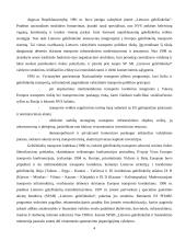 Lietuvos geležinkelių transportas 4 puslapis