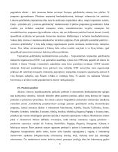 Lietuvos geležinkelių transportas 9 puslapis