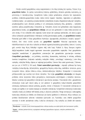 Lietuvos geopolitinė padėtis: istorija ir dabartis 5 puslapis